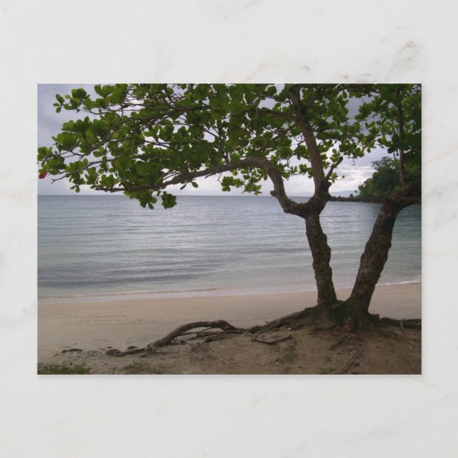 Escondido Beach Postcard (Front)