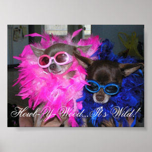 Ese and Lola Go Hollywood Poster