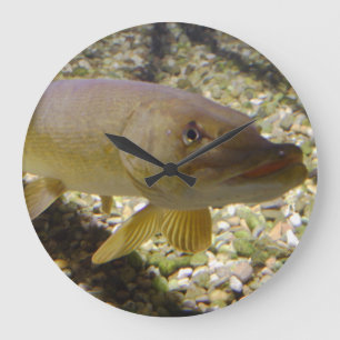 Esox lucius large clock