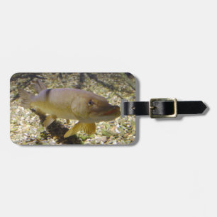 Esox lucius luggage tag