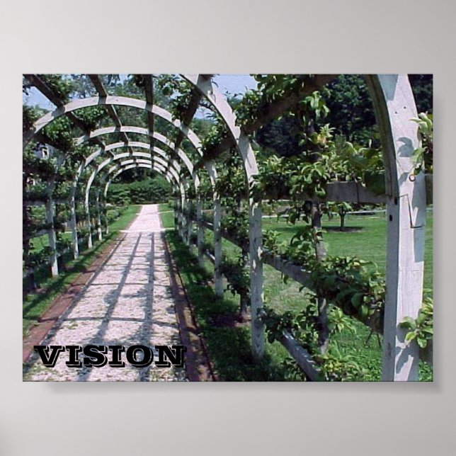 Espalier Apple Tree - Vision Poster (Front)