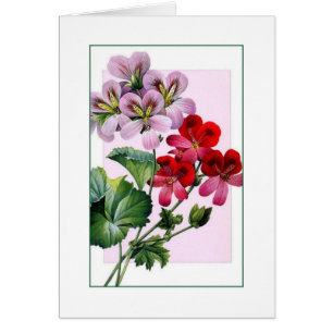 Especially For You Card Vintage Geraniums