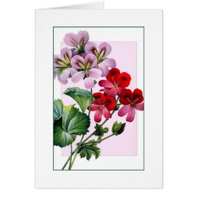 Especially For You Card Vintage Geraniums (Front)