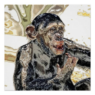 especially for you -Chimp 721-1 Poster