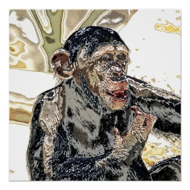 especially for you -Chimp 721-1 Poster (Front)