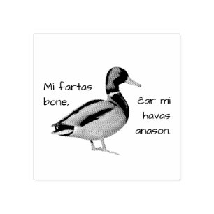 Esperanto: Mi fartas bone, ĉar mi havas anason. Rubber Stamp