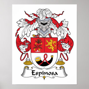 Espinosa Family Crest Poster