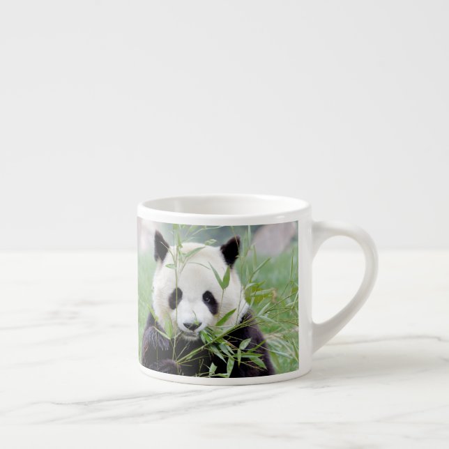 espresso cup Photo giant panda. (Right)