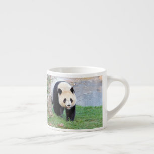 espresso cup Photo giant panda. espresso cup