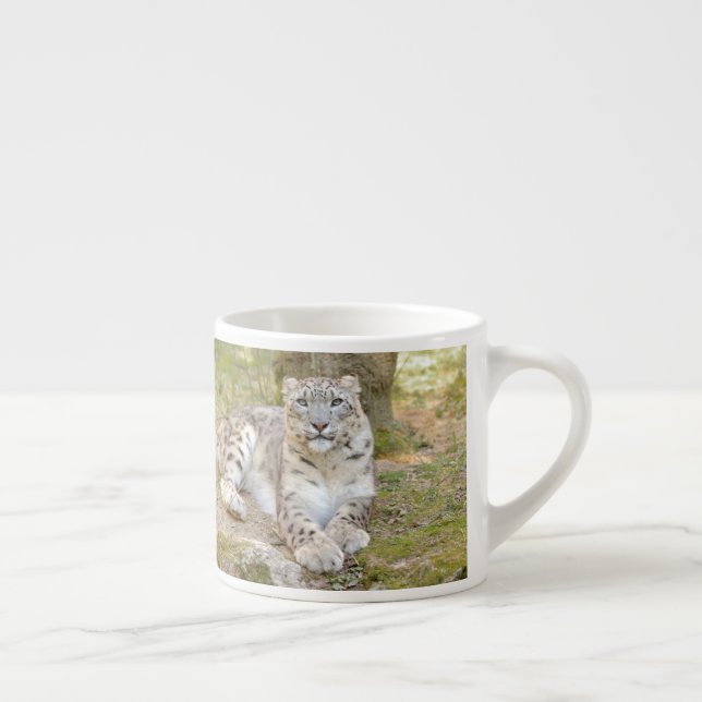 espresso cup Photo snow leopard. espresso cup (Right)