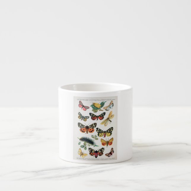 ESPRESSO Mug BUTTERFLY ILLUSTRATIONS (Front)