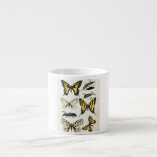 ESPRESSO Mug VINTAGE BUTTERFLY SCIENCE PICTURE