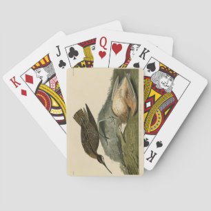 Esquimaux Curlew from Audubon's Birds of America Playing Cards