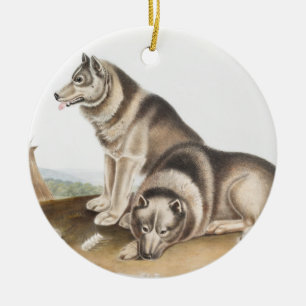 Esquimaux Dog (Canis familiaris) Illustration Ceramic Ornament