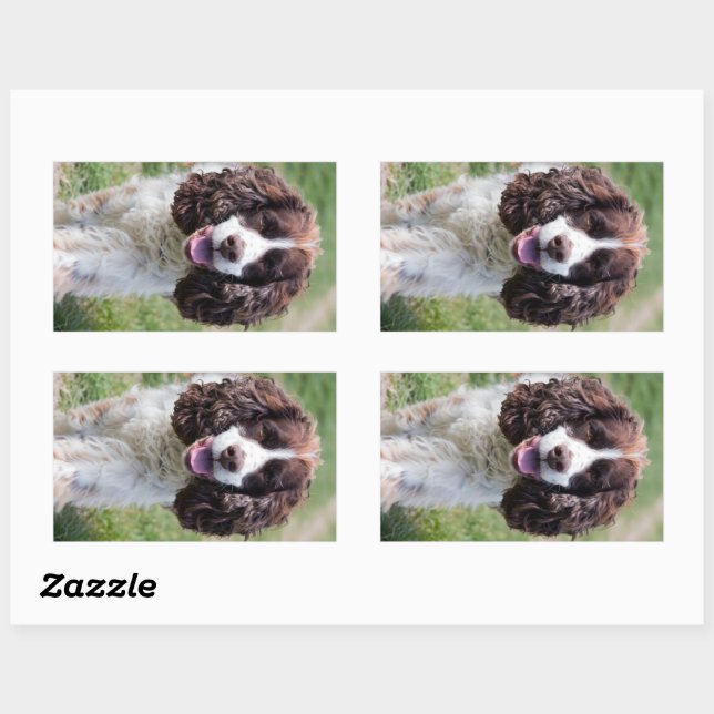 ess walking rectangular sticker (Sheet)