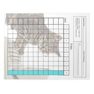 Essential SpEd Tool: Blank Data Sheet (Trials) Notepad
