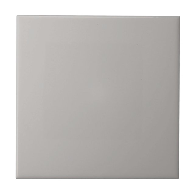 Essentially Grey Square Kitchen and Bathroom Ceramic Tile (Front)