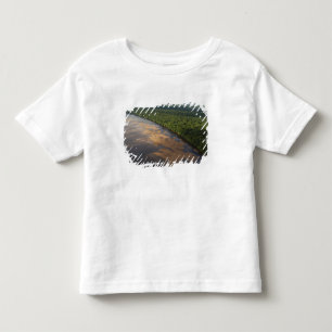 Essequibo River, longest river in Guyana, and 3 Toddler T-Shirt