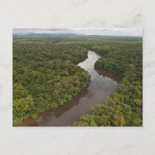 Essequibo River, longest river in Guyana, and 5 Postcard