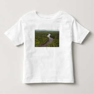 Essequibo River, longest river in Guyana, and 5 Toddler T-Shirt