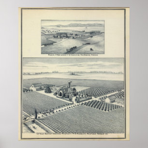 Estella Blanca Vineyard, California Poster