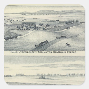 Estella Blanca Vineyard, California Square Sticker