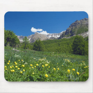 Estenc Valley in spring French Riviera Mouse Pad