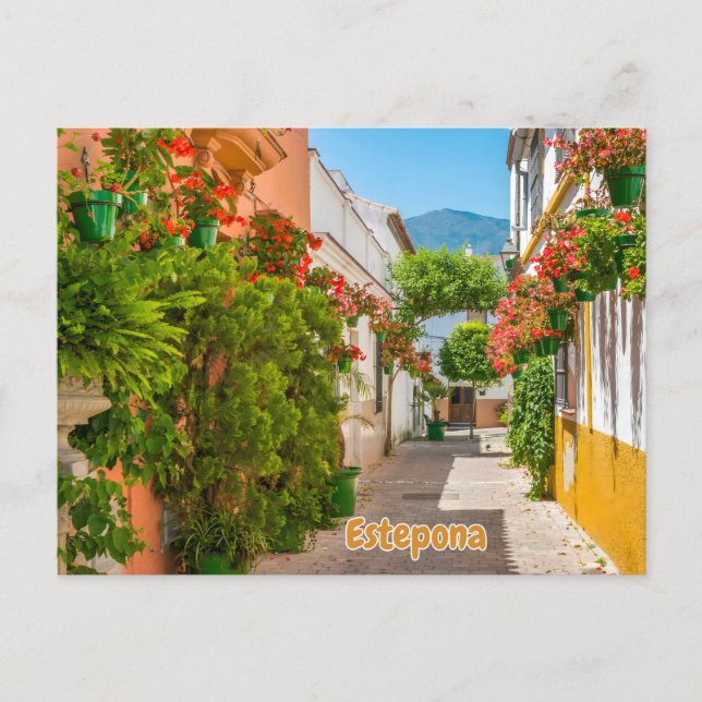  Estepona, Spain Charming Town in Malaga Street  Postcard (Front)