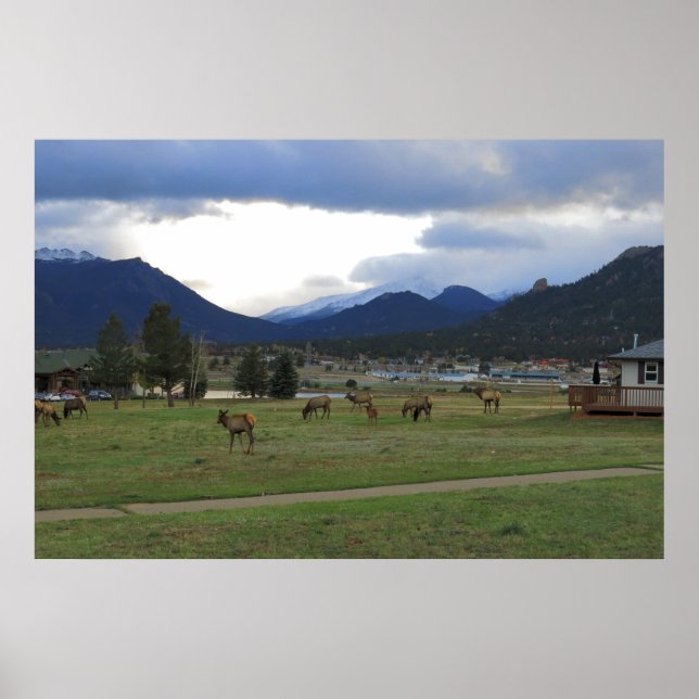 Estes Park, Co Poster (Front)