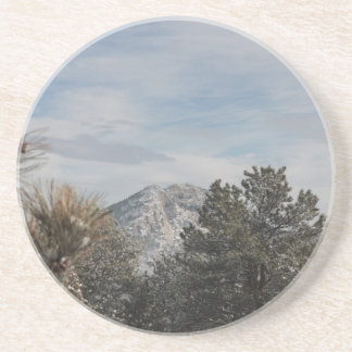 Estes Park Coaster