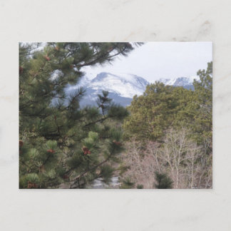 Estes Park, Colorado Postcard