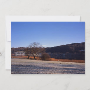 Esthwiate Water Winter Holiday Card