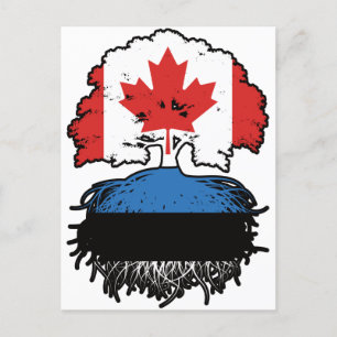 Estonia Estonian Canadian Canada Tree Roots Flag Postcard