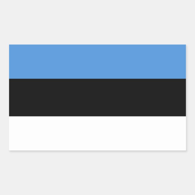 Estonia/Estonian Flag Rectangular Sticker (Front)