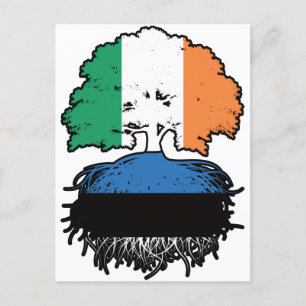 Estonia Estonian Irish Ireland Tree Roots Flag Postcard