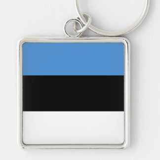 Estonia Flag EE Key Ring