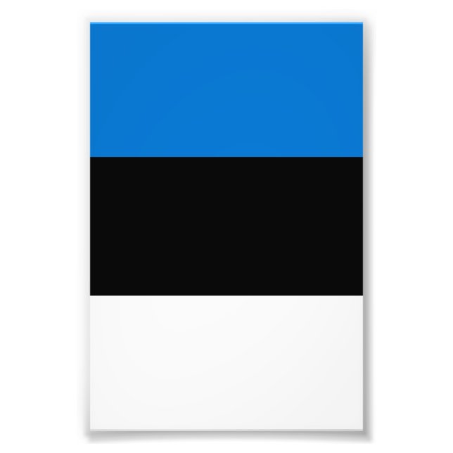 Estonia flag photo print (Front)