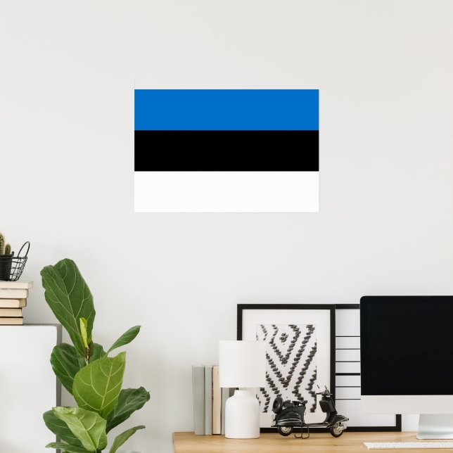 Estonia flag poster (Home Office)