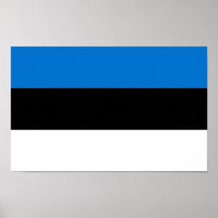 Estonia Flag Poster