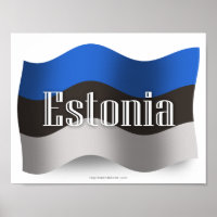 Estonia Waving Flag