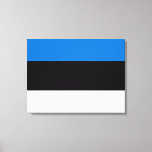 Estonian Flag Canvas Print