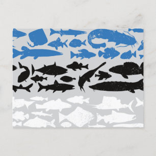 Estonian Flag Made of Fish – Fishing Design Holiday Postcard
