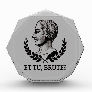 Et Tu, Brute? Shakespeare's Julius Caesar Quote V Photo Block