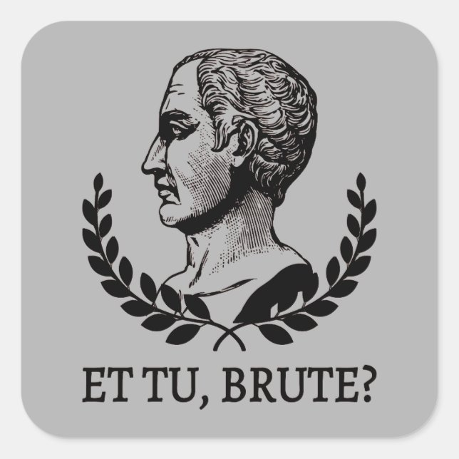 Et Tu, Brute? Shakespeare's Julius Caesar Quote V Square Sticker (Front)