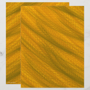 ET Wheat Field Scrapbook Paper 2-Sided Page