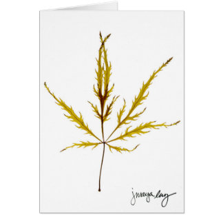 "Etched Leaf" by J. Maya Luz