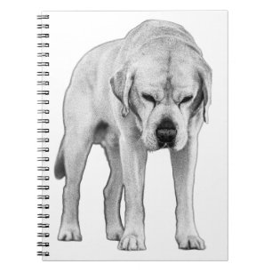 Etched Resolve Notebook