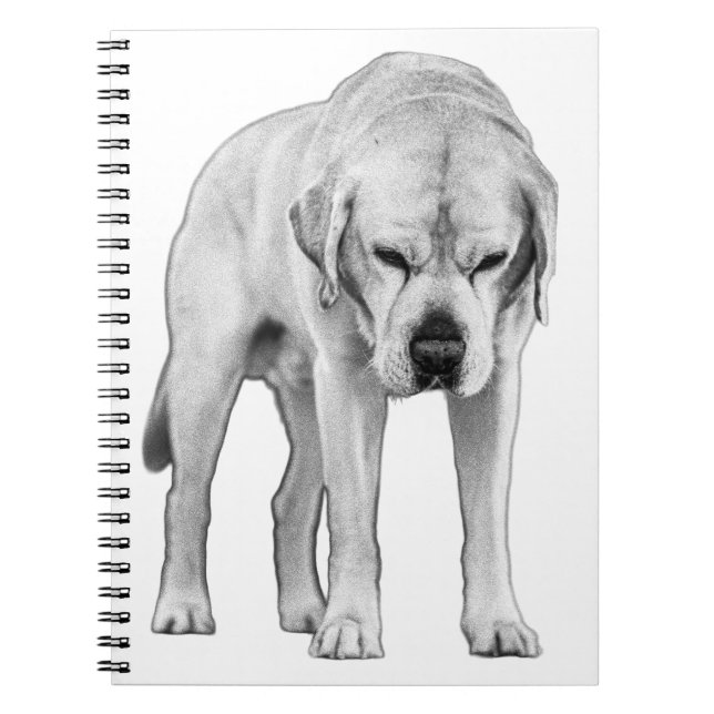 Etched Resolve Notebook (Front)