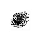 Etched Rose