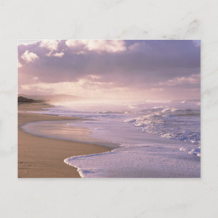 Eternity, Scenic Beach Sunset Postcard